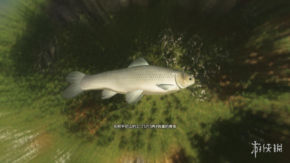 《古劍奇譚三》青魚哪里釣？青魚獲得方法介紹 1