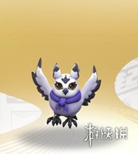 《一起來(lái)捉妖》貓頭鷹技能分析介紹 貓頭鷹屬性圖鑒一覽 2