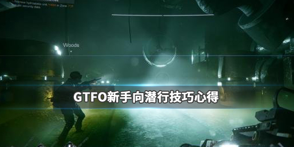 《GTFO》新手向潛行技巧心得 新手怎么玩？ 1