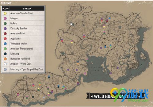 荒野大鏢客2虎紋野馬在哪里 荒野大鏢客2虎紋野馬屬性怎么樣 1