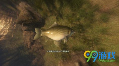 古劍奇譚3怎么釣魚(yú) 古劍奇譚3釣魚(yú)攻略 1